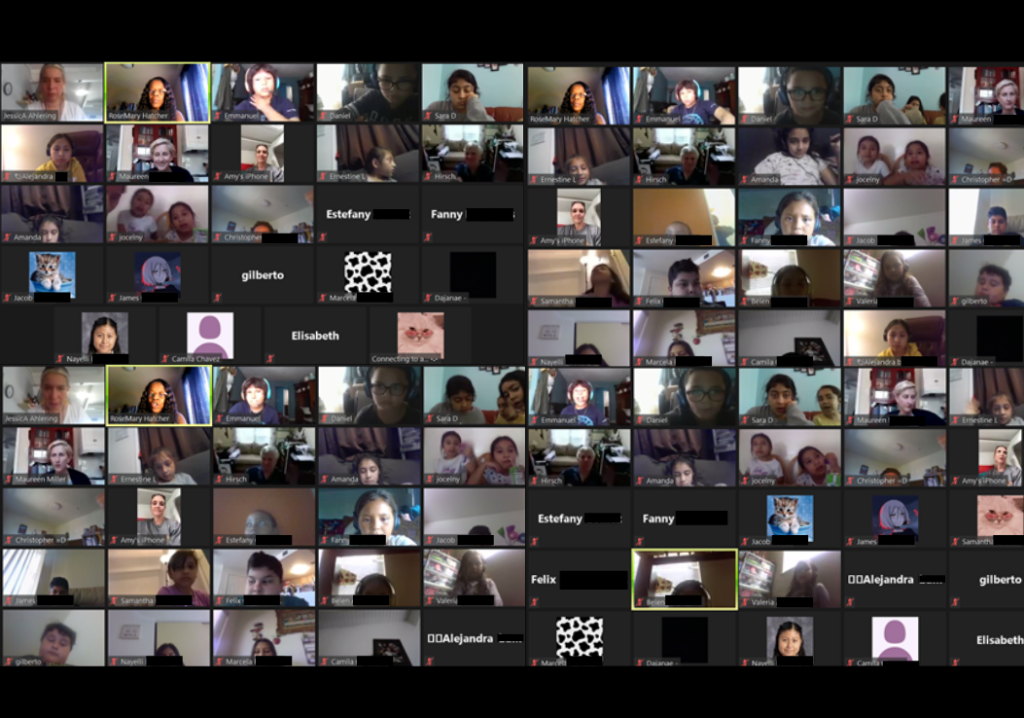Zoom screenshot