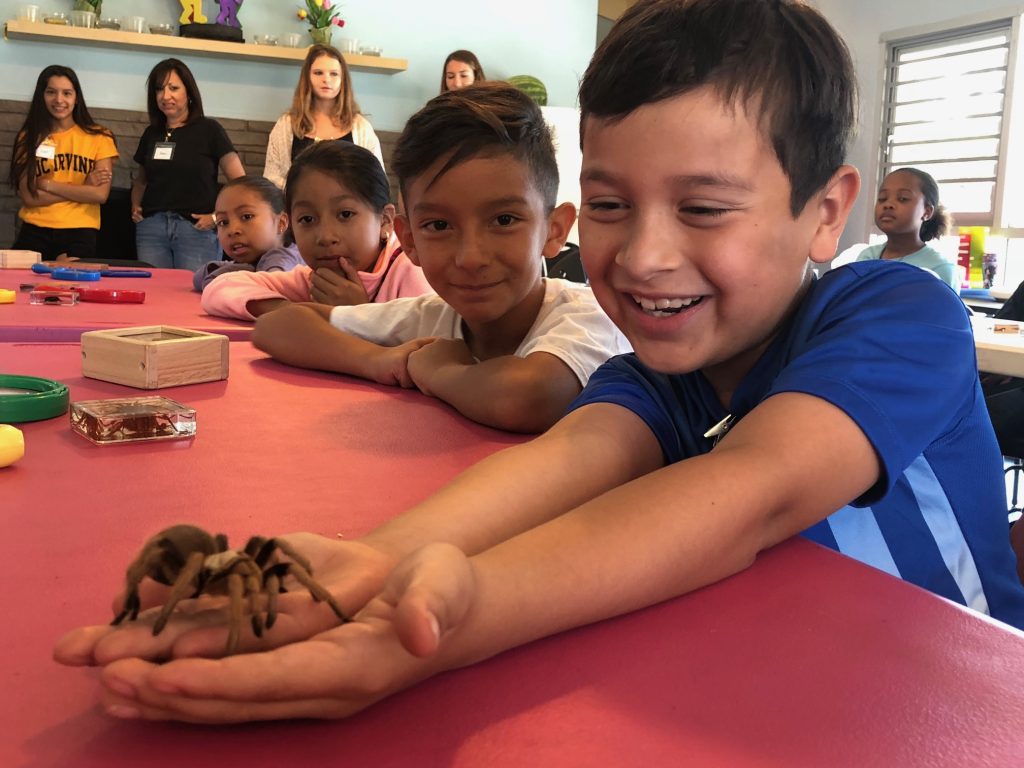 Kid with spider